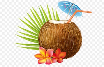 Cocktail Coconut water Coconut milk - coconut 