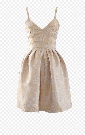 Cocktail dress Pleat Evening gown Prom - dress 