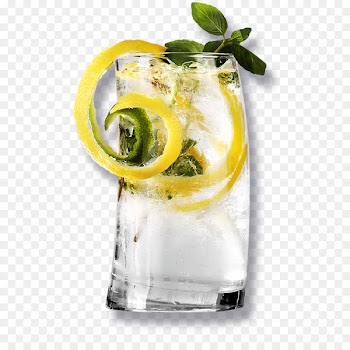 Cocktail garnish Gin and tonic Vodka tonic - cocktail 