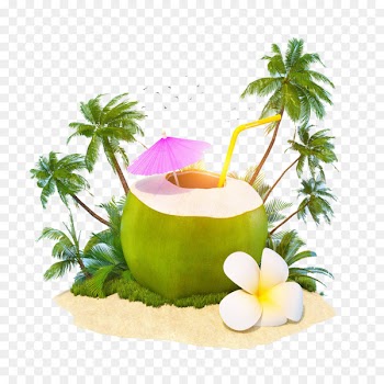 Cocktail Juice Coconut water Coconut milk - Coconut milk 