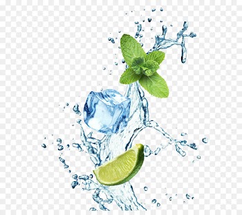 Cocktail Mojito Stock photography Lime Ice cube - Lemon water 