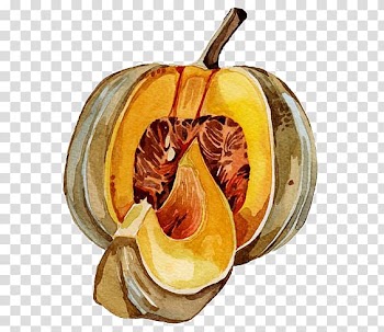 Cocktail Pumpkin Calabaza Squash Illustration, pumpkin transparent background PNG clipart