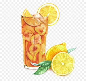 Cocktail Watercolor painting Drawing Sloe gin - Watercolor lemon cocktail 