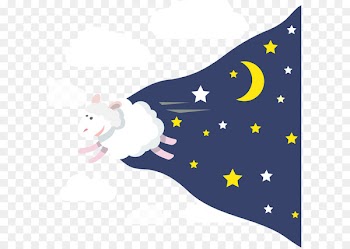 Cocoa Beach Super Boat International Key West Offshore powerboat racing - Cartoon flat night moon and the stars 