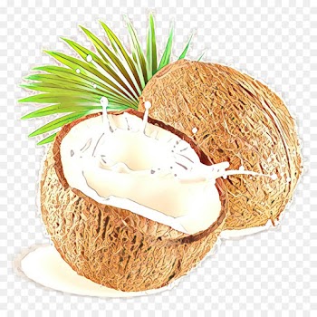 Coconut