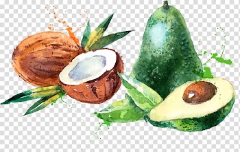 Coconut and avocado illustration, Coconut water Coconut milk Watercolor painting, Coconut mango fruit material transparent background PNG clipart