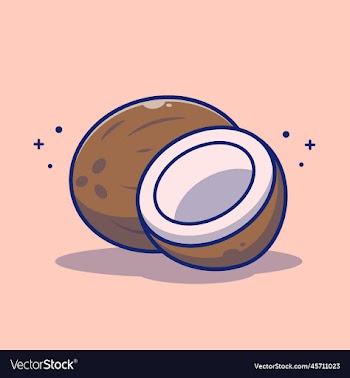 coconut and slices of coconut cartoon