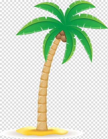 Coconut Arecaceae , coconut tree transparent background PNG clipart