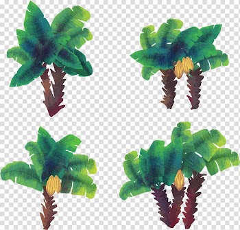 Coconut Arecaceae Euclidean Watercolor painting Tree, Watercolor hand painted coconut tree transparent background PNG clipart