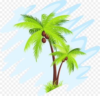 Coconut Arecaceae Tree Clip art - Vector blue palm 