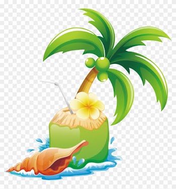 Coconut Arecaceae Tree Illustration - Frames For Taking Pictures For Beach Theme