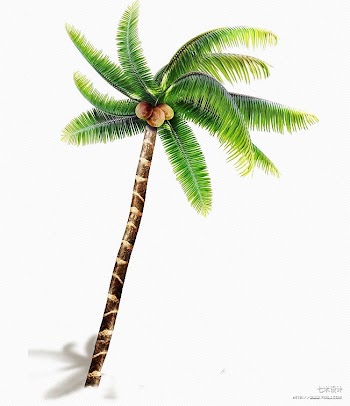 Coconut Arecaceae Tree Price Wind wave, coconut tree transparent background PNG clipart