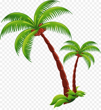 Coconut Beach Computer file - coconut tree 