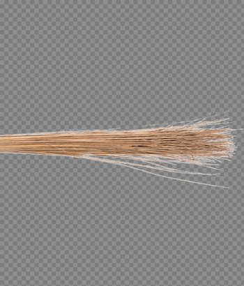 Coconut Broom Transparent Images