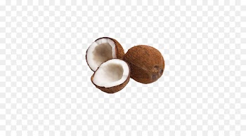 Coconut cake Coconut milk Coconut water Organic food - Delicious coconut 