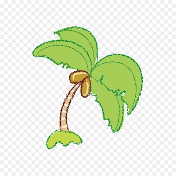 Coconut, Cartoon, Fruit, Leaf, Green PNG