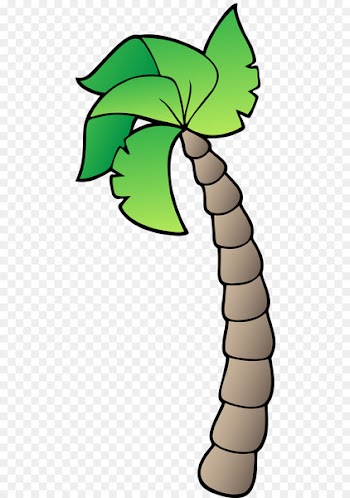 Coconut, Drawing, Cartoon, Leaf, Tree PNG