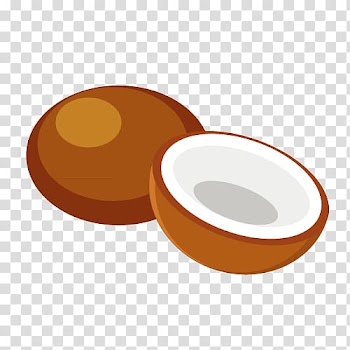 Coconut Euclidean Fruit, material cartoon fruit coconut transparent background PNG clipart