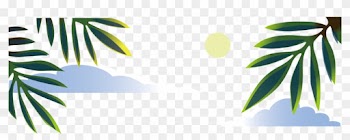 Coconut Euclidean Vector - Coconut Euclidean Vector