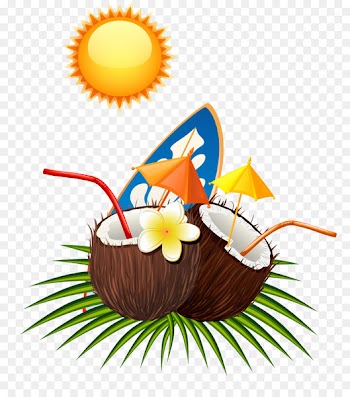 Coconut Euclidean vector - Coconut summer sun 
