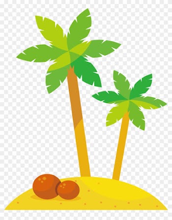 Coconut Euclidean Vector - Coconut Tree Cartoon Png