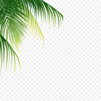Coconut Euclidean vector - Palm pattern 