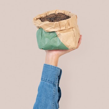 Coconut fiber gardening fertilizer in green… | Free stock photo | High Resolution image