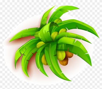 Coconut Fruit 1000*920 Transprent Png Free Download - Coconut Fruit 1000*920 Transprent Png Free Download