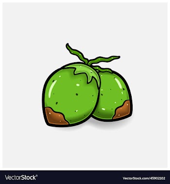 coconut fruit cartoon with simple gradient and