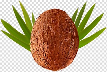 Coconut fruit, Coconut water Coconut milk Coconut cake, Coconut transparent background PNG clipart