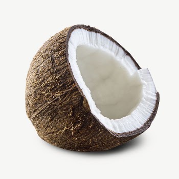 Coconut fruit collage element psd | Free PSD - rawpixel