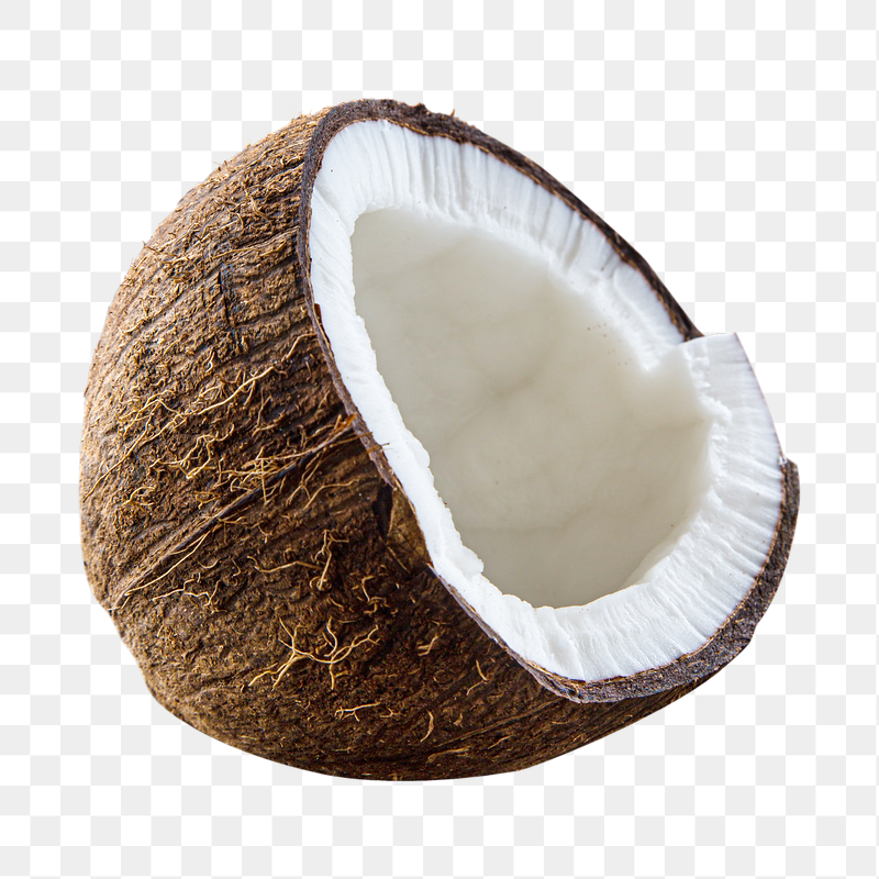 Coconut fruit png sticker, transparent | Free PNG - rawpixel
