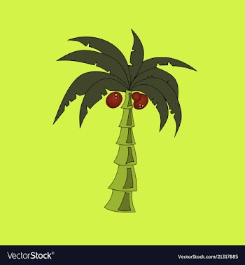 Coconut hand drawn sketch with palm leaf sketch vector image