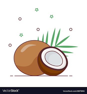 Coconut icon isolated on white background vector image