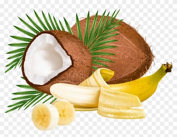 Coconut Leaf Clip Art - Coconut Leaf Clip Art
