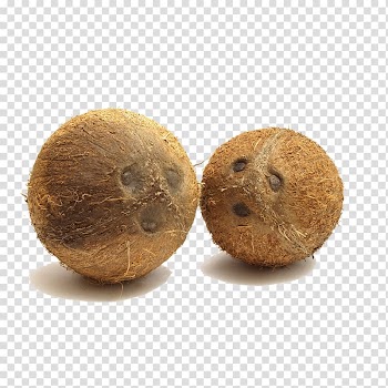 Coconut Machine Vegetable Peel Grater, coconut transparent background PNG clipart