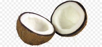 Coconut milk Coconut bar Coconut oil - Coconut PNG image 