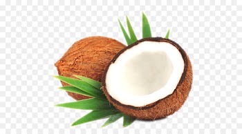 Coconut milk Coconut oil Leaf Stock photography - coconut 