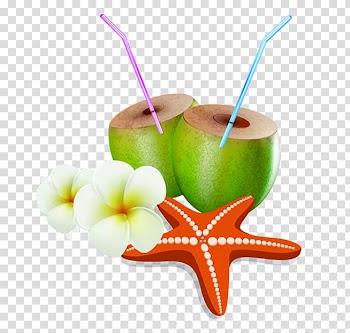 Coconut milk, Coconut Starfish Flower transparent background PNG clipart