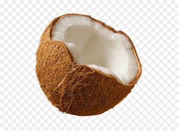 Coconut milk Coconut water Coconut oil - Coconut PNG image 