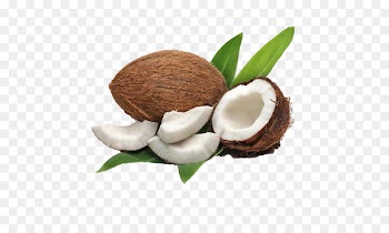 Coconut milk Coconut water Coconut oil Meat - Coconut oil 