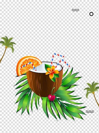 Coconut milk Coconut water Fruit, Delicious coconut milk transparent background PNG clipart