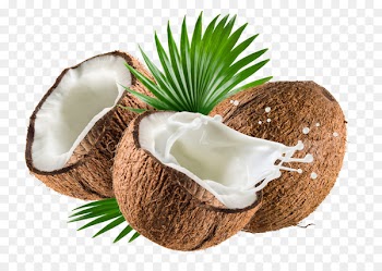 Coconut milk Coconut water Nata de coco Coconut oil - coconut 