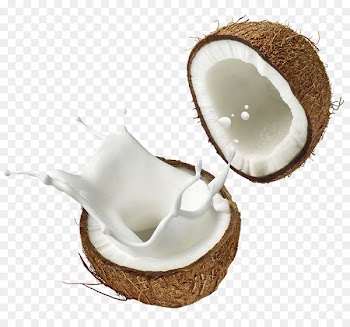 Coconut milk Coconut water Soy milk - Coconut picture 