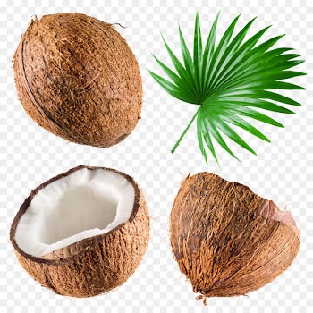 Coconut milk Coconut water Stock photography Royalty-free - Coconut nuts 