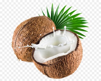 Coconut milk Coconut water Thai cuisine - White coconut juice 
