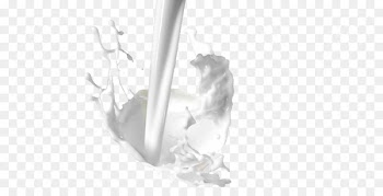 Coconut milk Food - Milk Splash 
