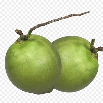 Coconut milk Icon - HD fresh green coconut 