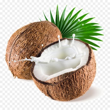 Coconut milk powder Coconut water - Fresh coconut 
