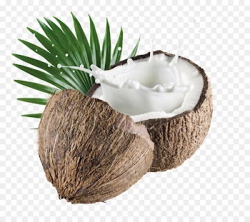 Coconut milk powder Organic food Coconut water - Brown simple coconut decoration pattern 